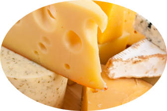 produccion de quesos